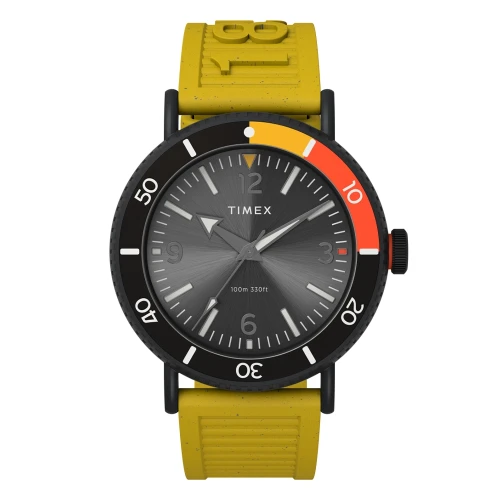 Чоловічий годинник TIMEX STANDARD DIVER TX2V71600 купити за ціною 6206 грн на сайті - THEWATCH