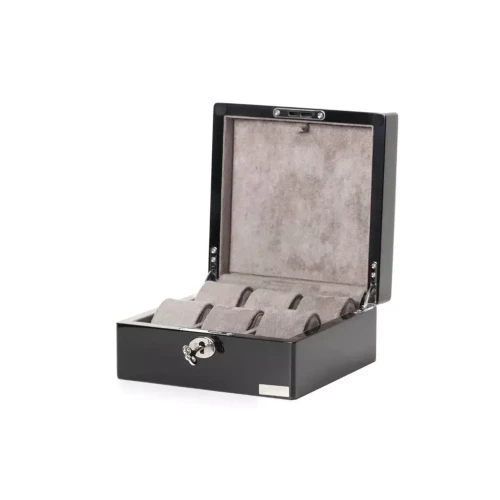 Шкатулка Salvadore 802-6BG купить по цене 4400 грн на сайте - THEWATCH