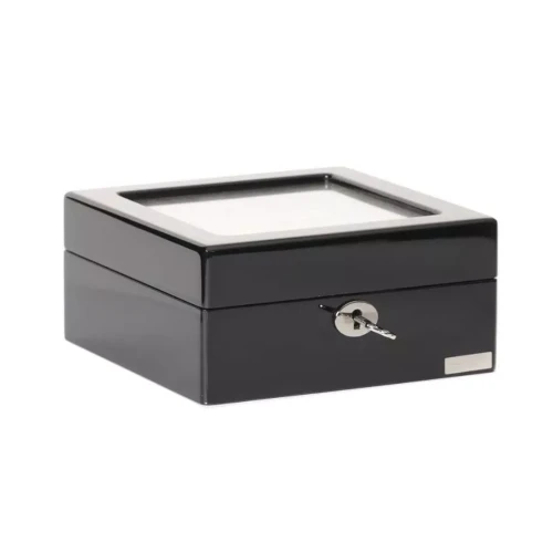 Шкатулка Salvadore 802-6BG купить по цене 4400 грн на сайте - THEWATCH