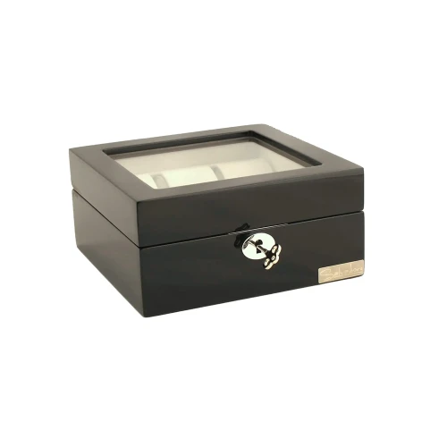 Шкатулка Salvadore 841-6BG купить по цене 3800 грн на сайте - THEWATCH